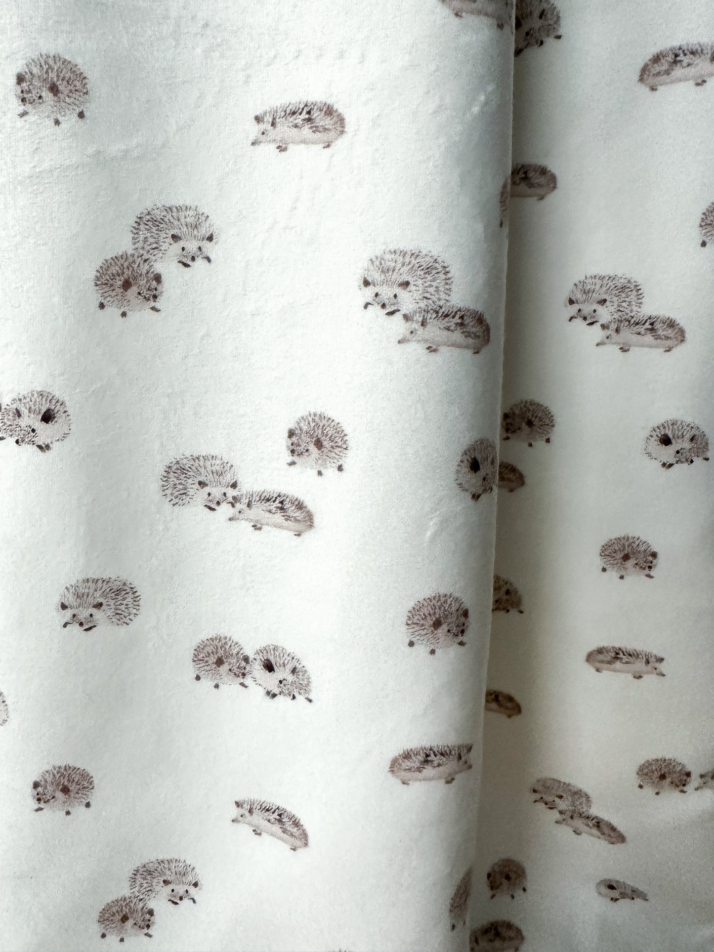 Wooly teddy blanket with Hedgehogs