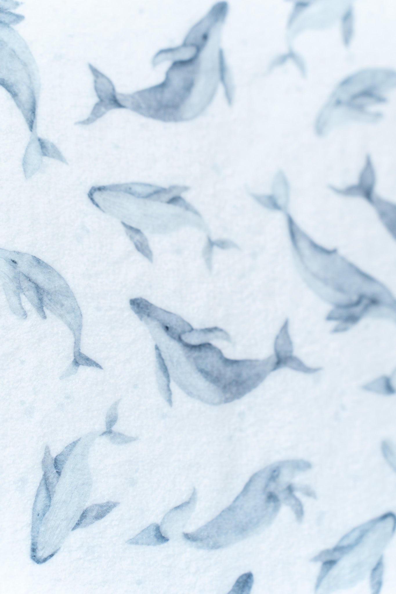 Eco towel with whales