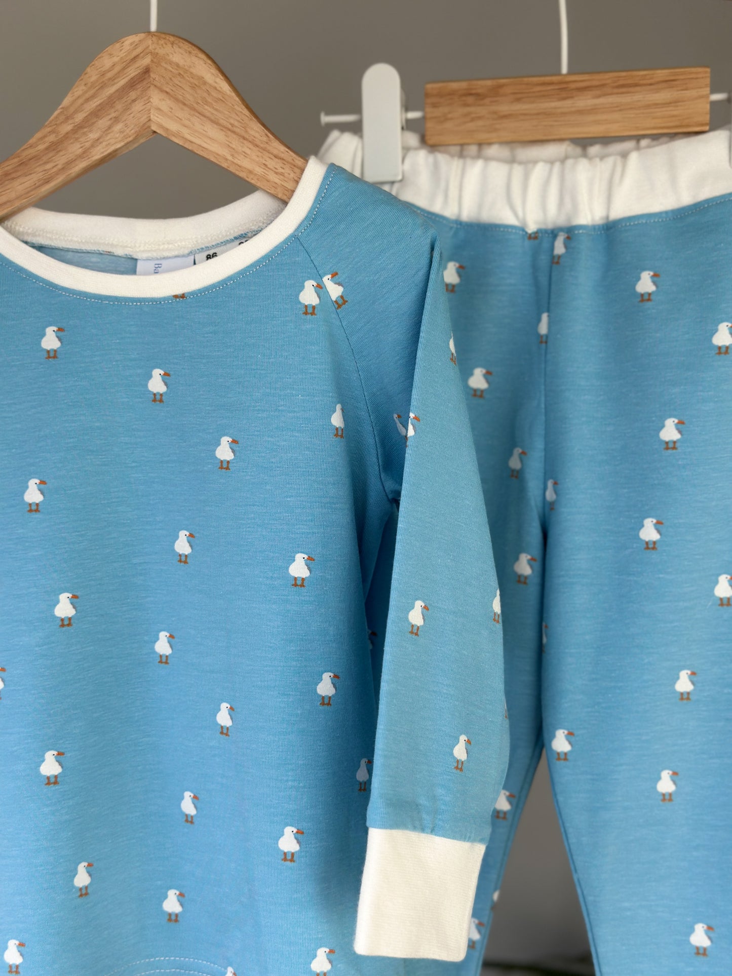 Pajama Seagulls Sky