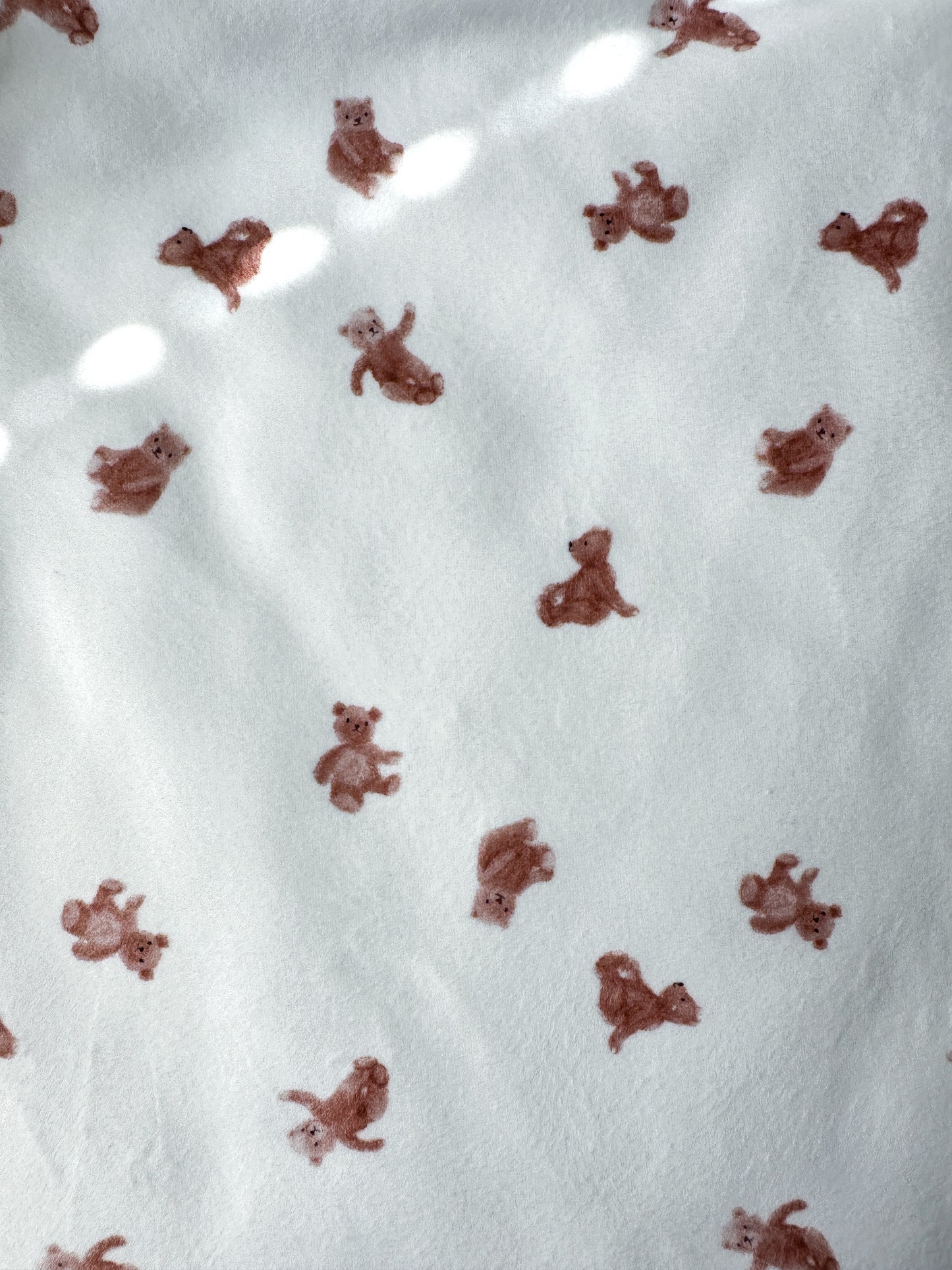 Wooly teddy blanket with Teddy Bears